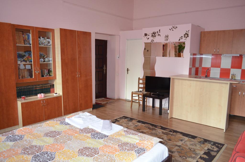 Apartmán Cosy Studio Kluž Exteriér fotografie